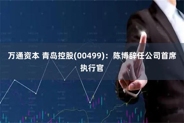 万通资本 青岛控股(00499)：陈博辞任公司首席执行官