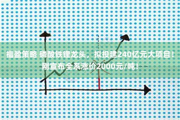 福盈策略 磷酸铁锂龙头，拟投建240亿元大项目！刚宣布全系涨价2000元/吨！